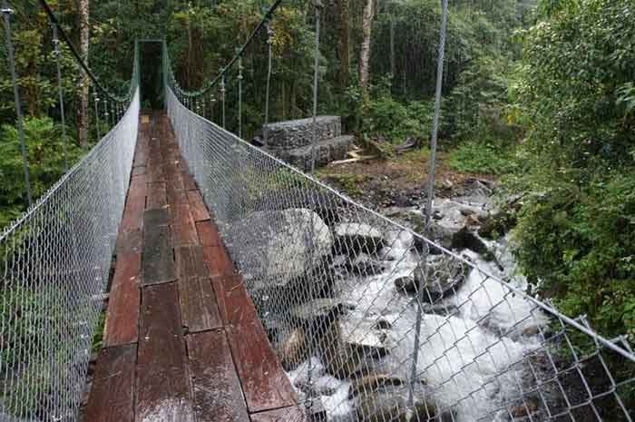 Sendero Los Quetzales